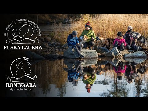 YouTube-video