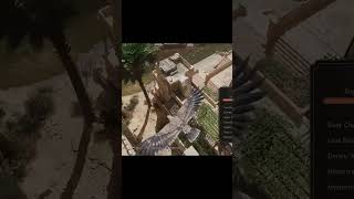 Too Many Enemies Ins Creed Mirage