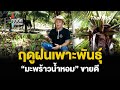 ฤดูฝนเพาะพันธุ์ “มะพร้าวน้ำหอม” ขายดี | ทุกทิศทั่วไทย | 24 พ.ค. 67