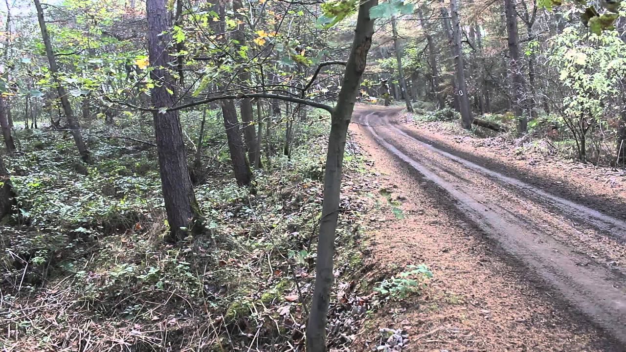 Firenza Can Am V8 Rally Car Test Jimmy McRae