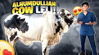 FINALLY COW MILGYI! | ALHUMDULILLAH SODA HOGYA!Mandi 2022 Vlog! | Vampire YT
