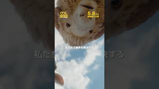 🔍名(メェ～)探偵、誕生❕ご主人＜#ヒュージャックマン＞が殺された❗️捜査するのは…ひつじたち🐏🐏🐏⁉️『ひつじ探偵団』5/8(金)公開🍀もふもふの“沈黙しない”羊たちが挑む迷(メェ~)宮ミステリー📚