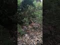 Exploring the unexplored paths