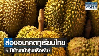 ส่องอนาคตทุเรียนไทย 5 ปีข้างหน้ารุ่งหรือพัง? | BUSINESS WATCH | 10-06-65