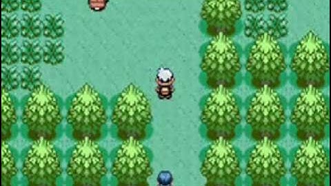 Mudkip only run: part 1