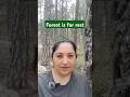 Forest is for rest #forest #fyp #tips