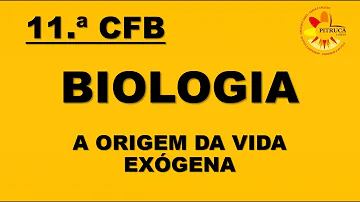 O que é fonte Exogena?