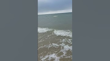 Mr.Random Intro in the sea 🌊 😂