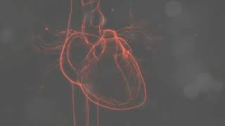 Unlock the Cardiac Cycle: How Your Heart Fuels Life