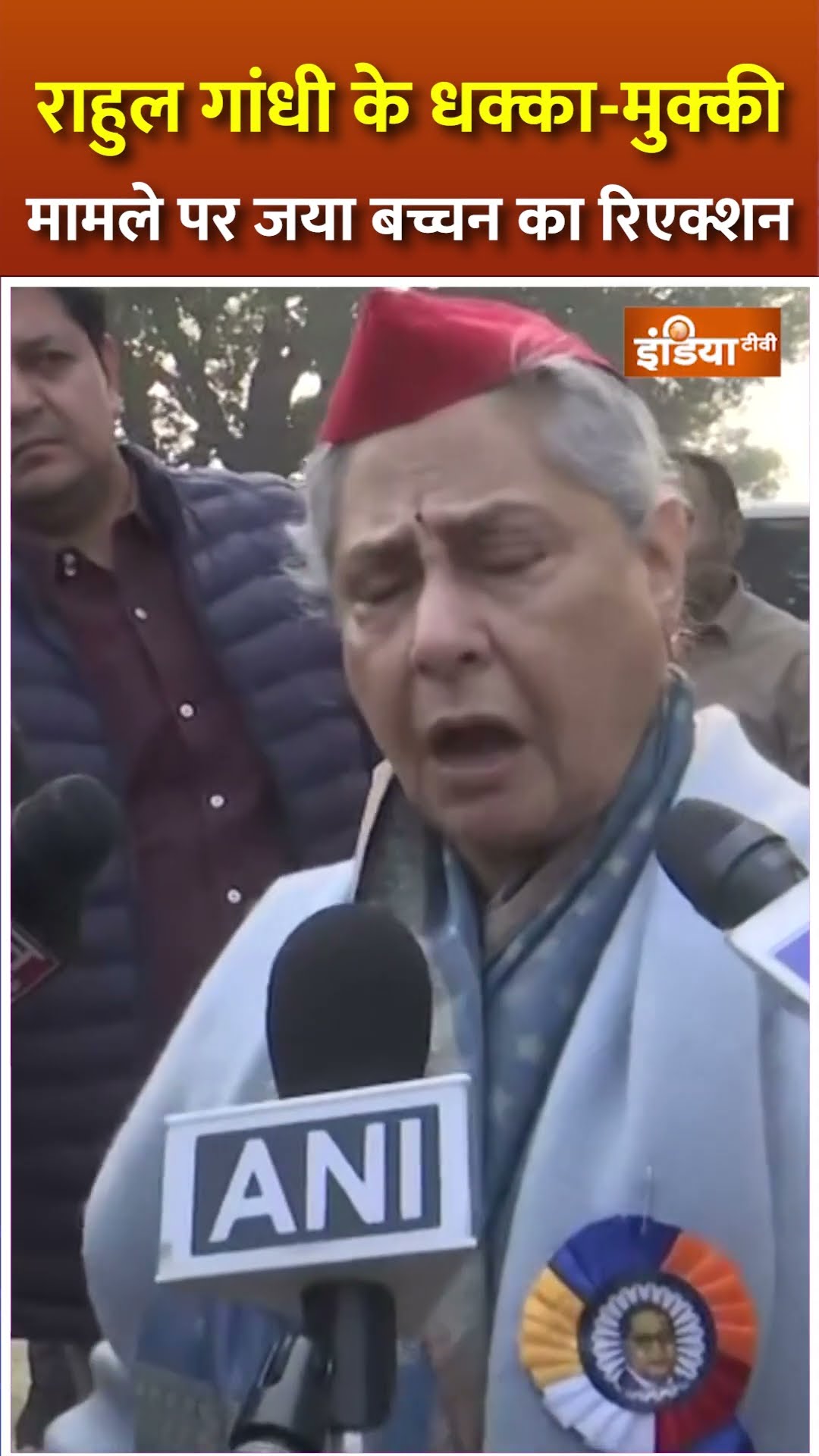 #rahulgandhi की धक्कामुक्की पर बोलीं Jaya Bachchan, मैं चश्मदीद #pratapsarangi #shorts #bjp