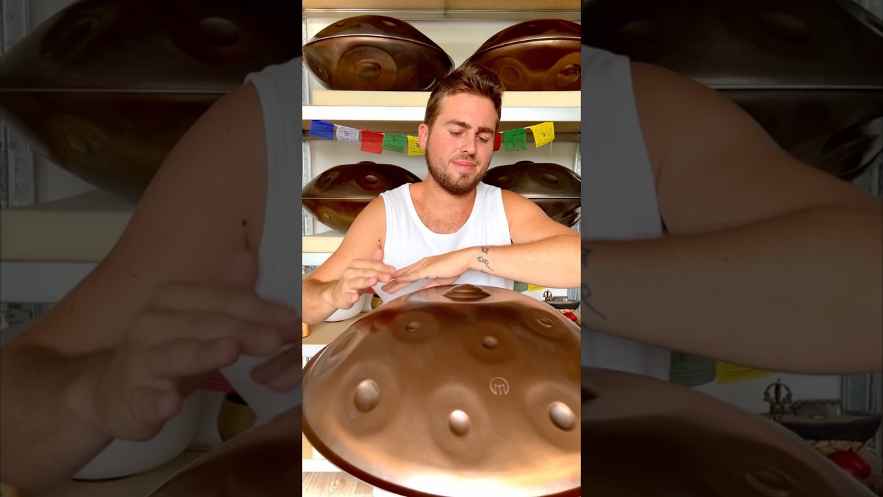 Meraki - D Ashakiran 18 #handpan #percussion #drummer #music #drumming #musician #drums #groove