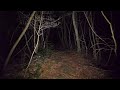 Walking at night in Aokigahara forest (no pranks, not scary. ASMR?)・4K