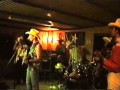 Concert de Ringo's Electric Cowboys al Wild Bunch Saloon