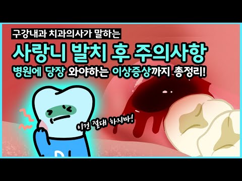 사랑니 발치 주의사항, 관리, 통증과 지혈, 발치 후 병원에 가야 하는 상황까지 완벽 정리