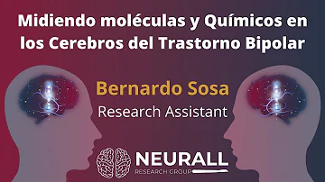 ¿El trastorno bipolar aparece en la resonancia magnética?