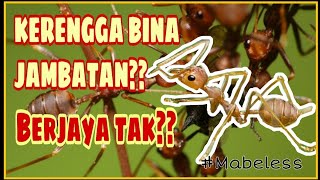 ALAMAK!! JAMBATAN PUTUS?? Kerangga oh kerengga..