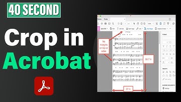 How to crop in adobe acrobat 2025 | Crop PDF pages