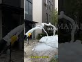 How to Use a Stand Foam Machine and Check Its Awesome Effects