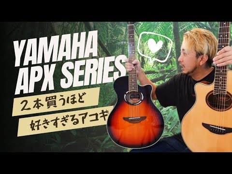 超絶おすすめ！好きすぎて2本も買っちゃったお気に入りギター