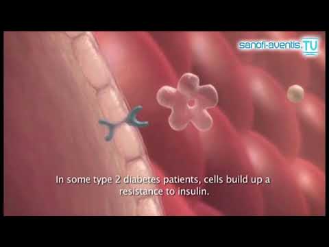 كيف يعمل هرمون الأنسولين مع الجلوكوز داخل جسم مريض السكري؟