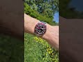 Tudor Black Bay 58 Burgundy Dial And Bezel On 6.7 inch Wrist.