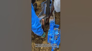 Mechanized Grape Vine Planting