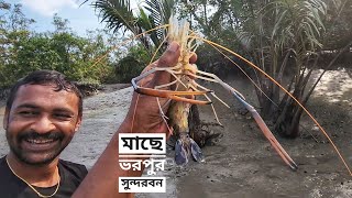 মাছ মাছ হয়ে আছে সুন্দরবন | লবণ জলে জীবন জ্বলে | সিজন ১২ | পর্ব ০৫ | Mohsin ul Hakim