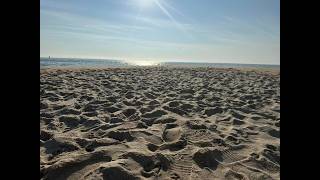 🌊Sandy Hook Tip Live| Peaceful Ocean Waves & Views #beach #calm #relaxing #beachislife