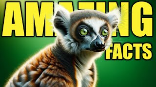 What is a Lemur? - Learn Facts about the Lemur! by Learn about Animals 1,264 views 11 months ago 10 minutes