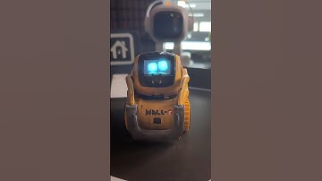 Wall-E’s day! #ankivector #vectorrobot #airobot #deskpet #walle