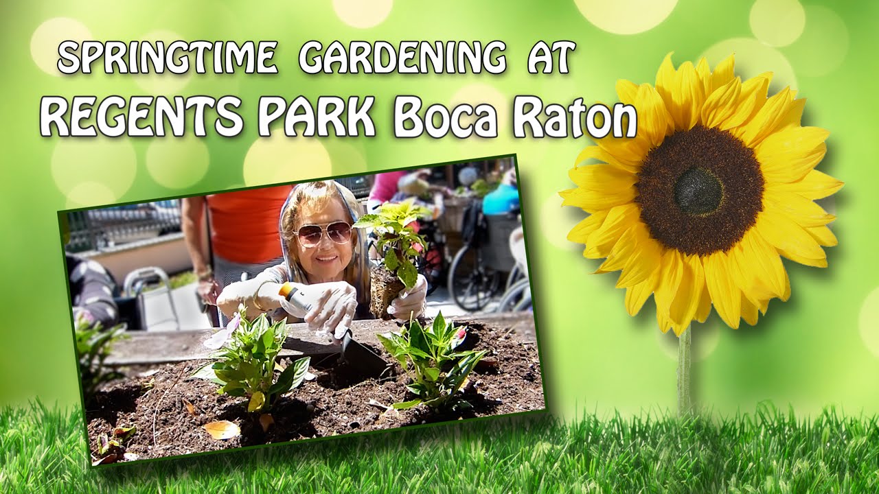 Spring and Gardening Are in the Air at Regents Park Boca Raton - YouTube