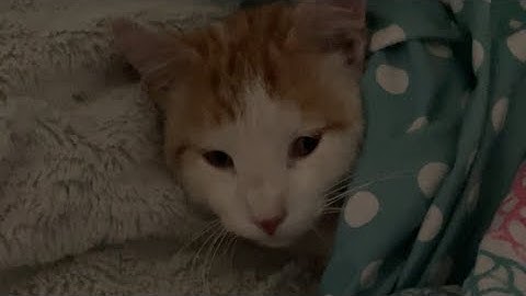 compound bow to the head in a boat for a mp5 in console rust 😱🤯