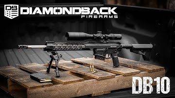 Cover Image for Diamondback DB10 in 6.5 Creedmoor:  AR10 First Impressions