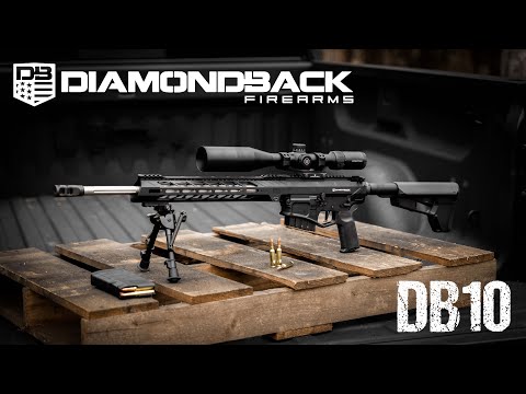 Diamondback DB10 in 6.5 Creedmoor:  AR10 First Impressions