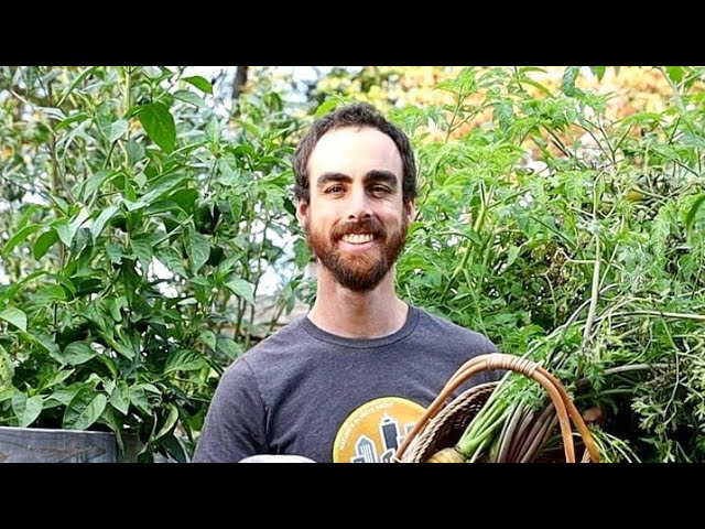 The Holy Grail Homestead Plant & The Secrets to Grow It 