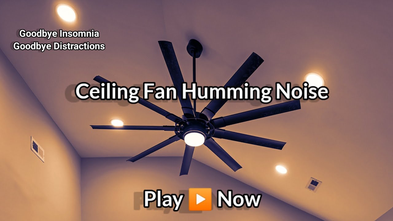 Ceiling Fan Humming Noise For Studying