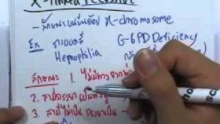 ormBio : พันธุกรรม ตอน7