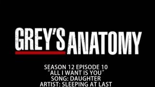 Grey's Anatomy S12E10 - Daughter by Sleeping At Last