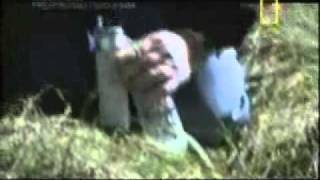 Preparados Para O Fim Do Mundo