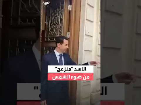 فيديو حصري للعربية الأسد منزعج من ضوء الشمس