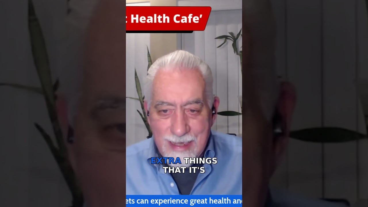 How Diet Affects Your Pet's Health