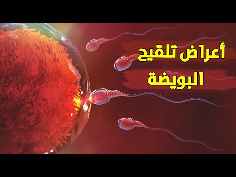 بما تشعر المرأة عندما تلقح البويضة أعراض الحمل