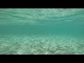 Swimming in String Lake, Grand Teton National Park by Andy Summerford