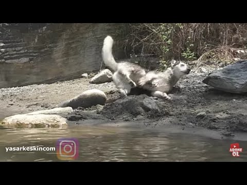 LADY'NİN KUMLU SABUNLU BANYOSU