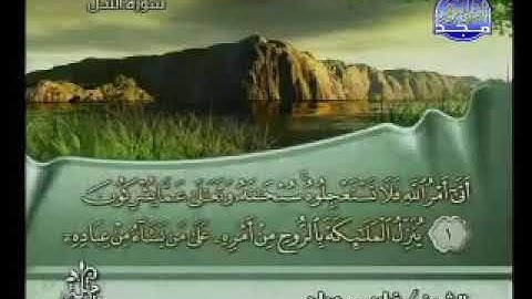 سورة النحل كاملة بصوت الشيخ فارس عباد