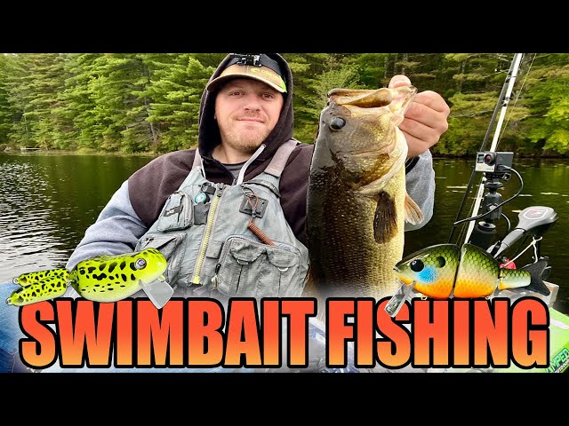 Swimbait Fishing For Bass Using Hard Body Swimbaits - MTL Baits 