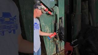 Midnight Cattle Tags electric ear tag gun definitely saved my arm tagging cows and calves this year. Midnight Cattle Tags electric ear tag gun definitely saved my arm tagging cows and calves this year.