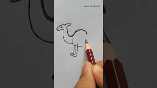 How To Camel Drawing