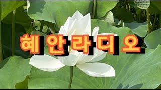 [혜안라디오] 혜안을 여는 힐링방송/소통/명상/법문/2024/4/17/수