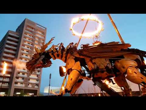 Long Ma : Le Pouvoir des ailes - Toulouse